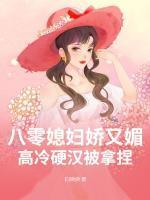 寒门帝师 免费