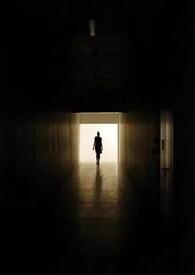 你们都追女主?那女魔头我宠上天 免费