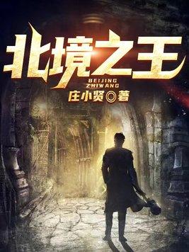 正负极接反了会怎么样