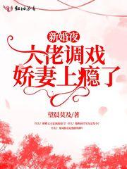 冥办三本招生办主任澜沧江上