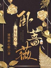 小妻别想逃免费阅读