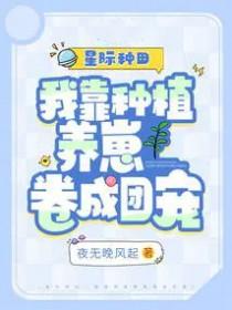天命算师