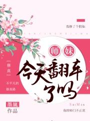 精灵少女艾露米娅与迷宫zmx