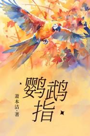 仙子的袜子