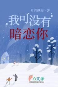 我的26岁女房客经典语录