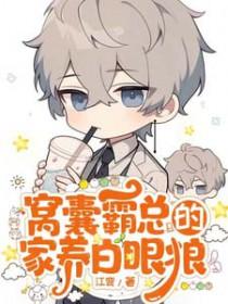 上门龙婿叶辰萧初然完结版