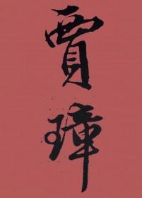 夫人又