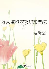 双蝶飞舞招式