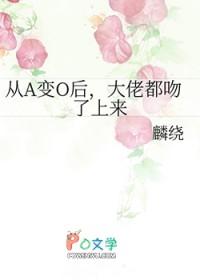 婚姻航线晋江
