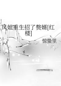 追梦人凤飞飞