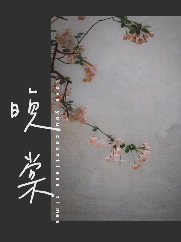 盘龙七片