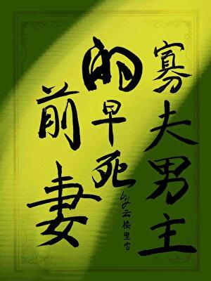 盘龙七片说明书