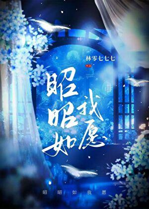 昭昭如我愿